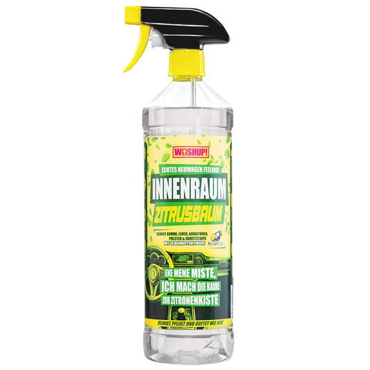 Innenraum Zitrusbaum