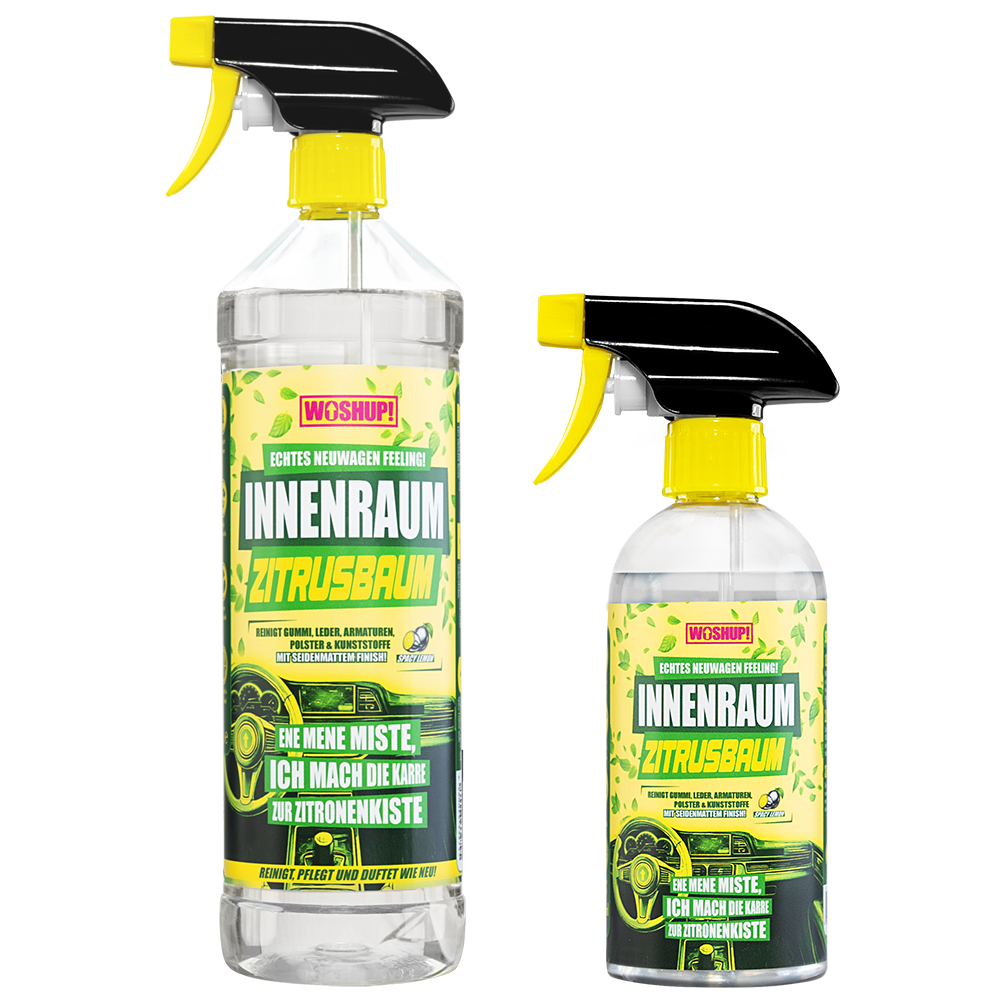 Innenraum Zitrusbaum