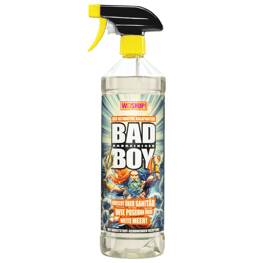 Bad Boy