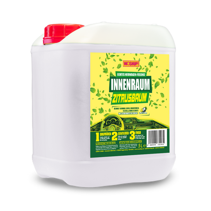 Innenraum Zitrusbaum